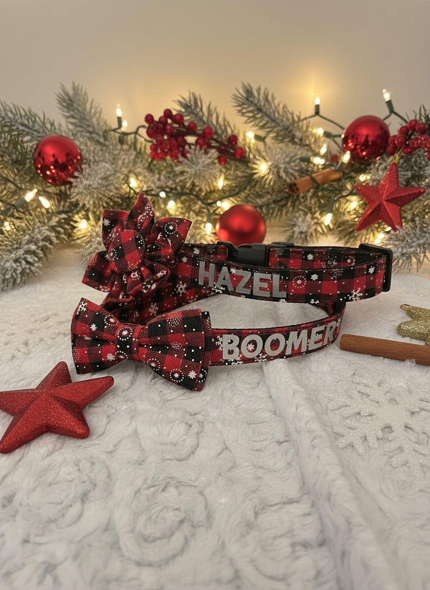 Personalized dog collar